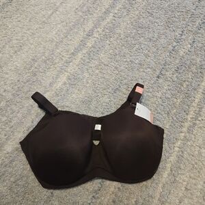 Cacique Lane Bryant Lightly Lined Balconette Bra Espresso Brown 40F NWT